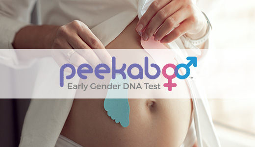 Peekaboo At Home Early Gender Dna Test Venlo Labs Uk 2755